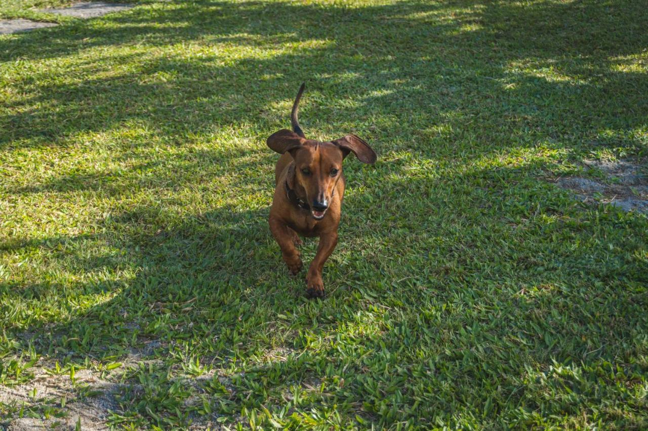 Casa Vista Para Montanha Pet Friendly Caraguatatuba Exterior foto